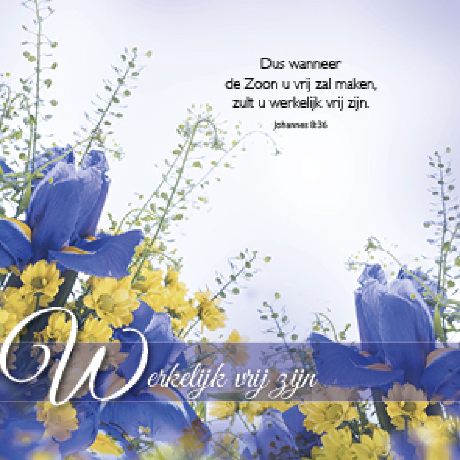 Kaart 'Werkelijk vrij zijn' - MA46121 -  Bemoediging