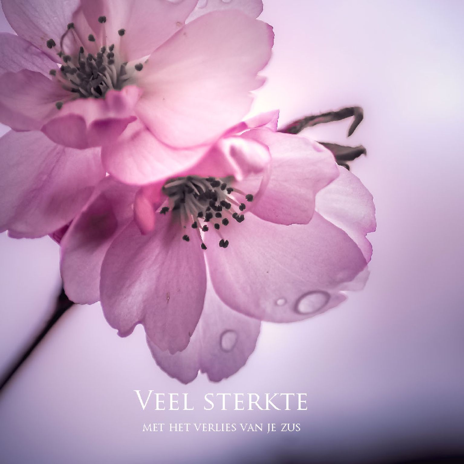 MA34130 - Vierkante wenskaart 'Veel sterkte - verlies zus'