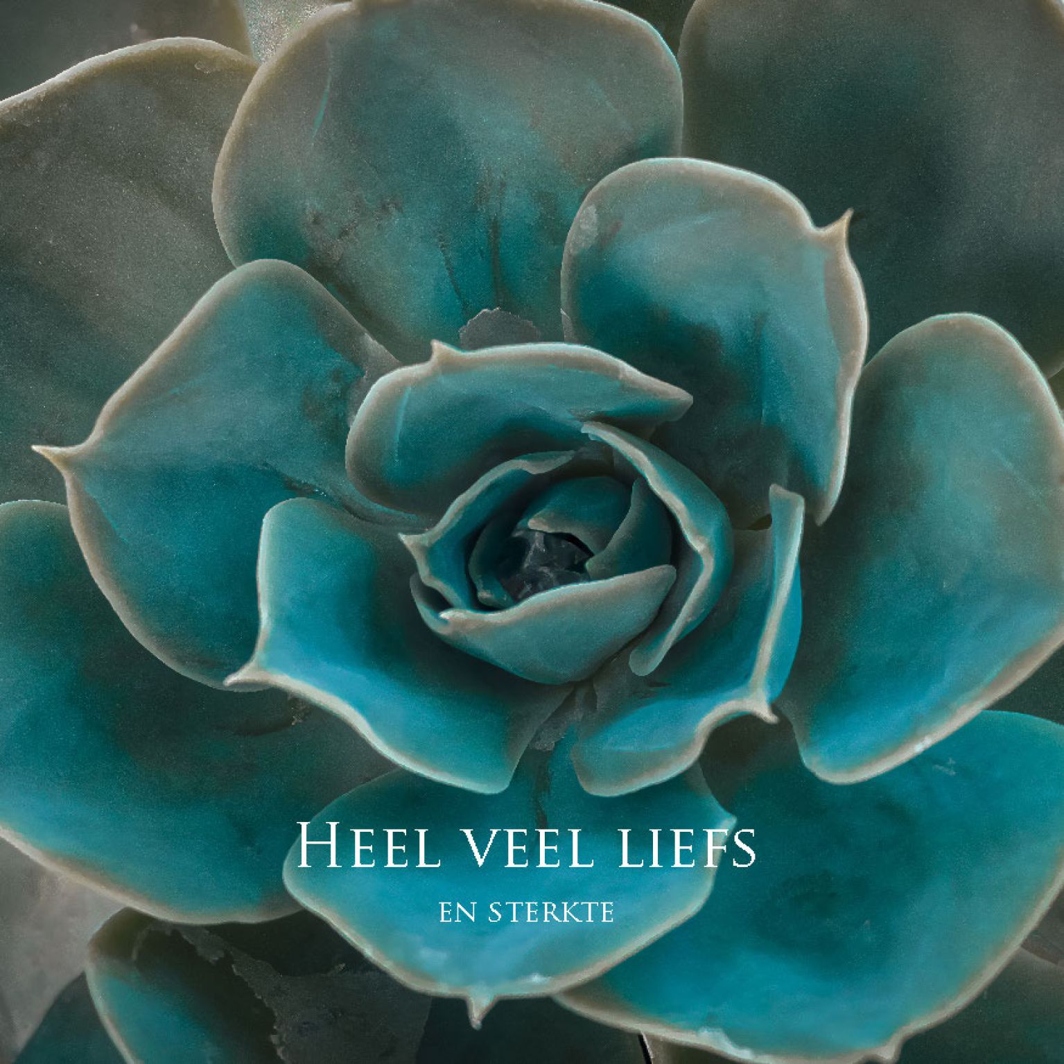 MA34133 - Vierkante wenskaart 'Heel veel liefs en sterkte'