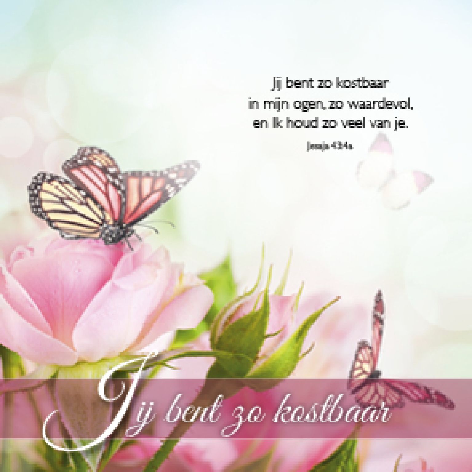 Kadokaartje jij bent kostbaar - MA46207 -  Cadeaukaartjes bij MajesticAlly