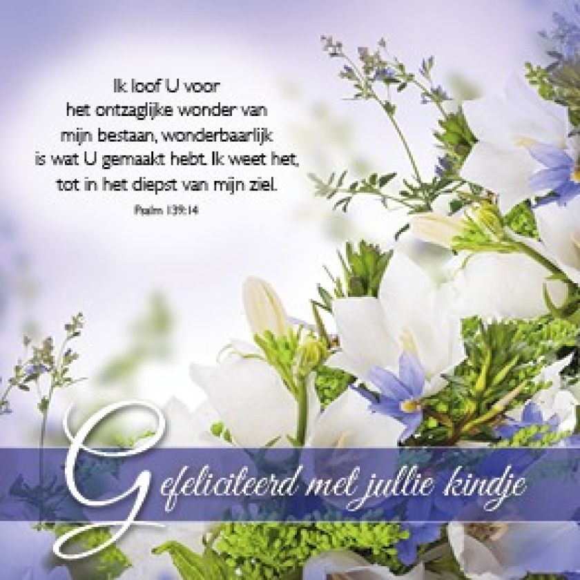 Voordeelpakket 24 kaarten Blessings - MA46250 -  Voordeelpakjes bij MajesticAlly