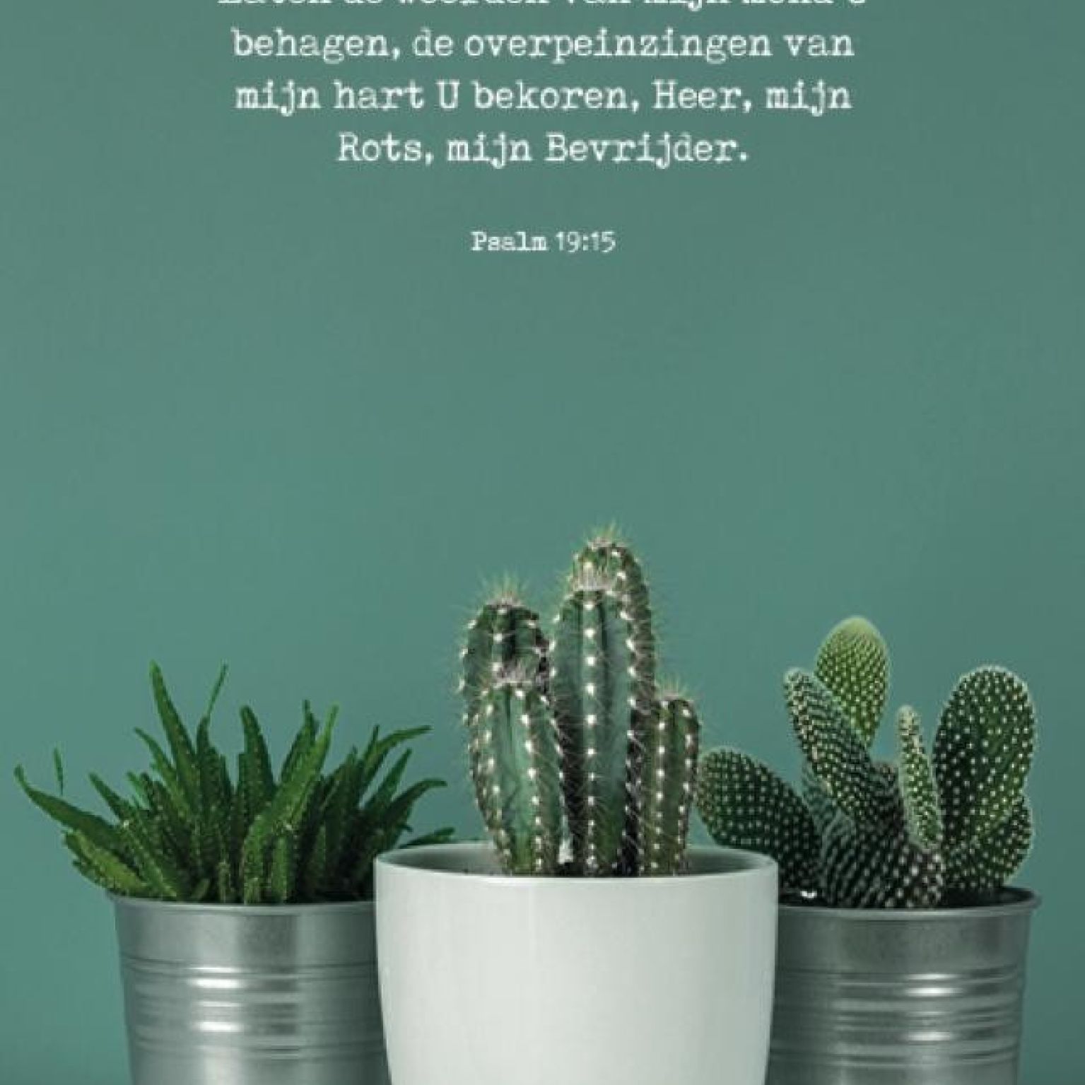 Poster A4 'Laten de woorden van mijn mond' - MA37107 -  Posters A4 bij MajesticAlly