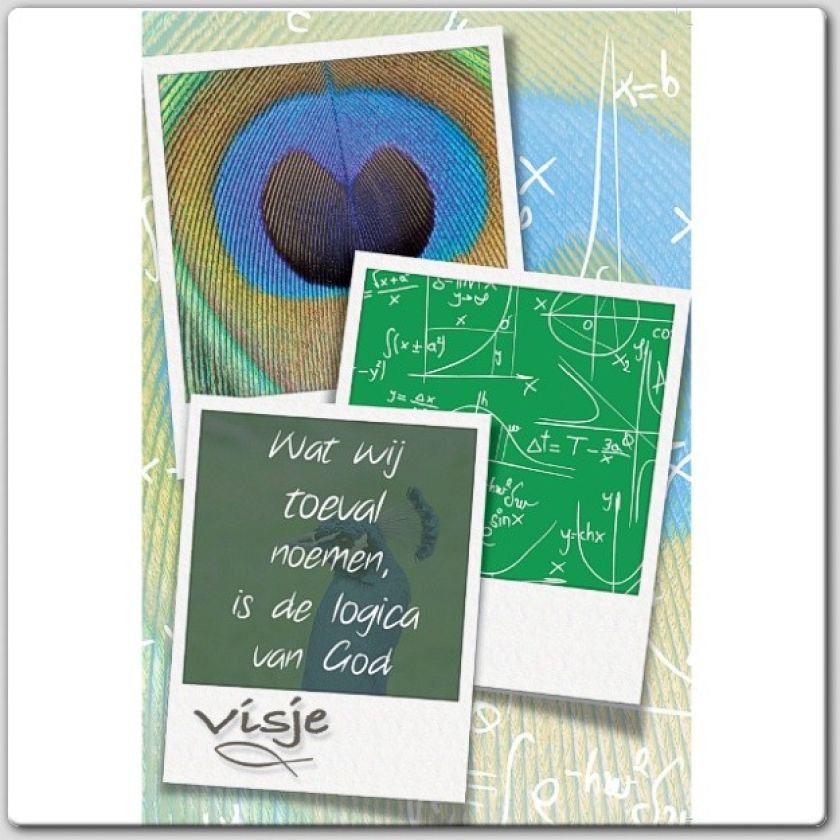 * Voordeelpakket 20 Visje wenskaarten - 46925 -  Pakjes kaarten bij MajesticAlly