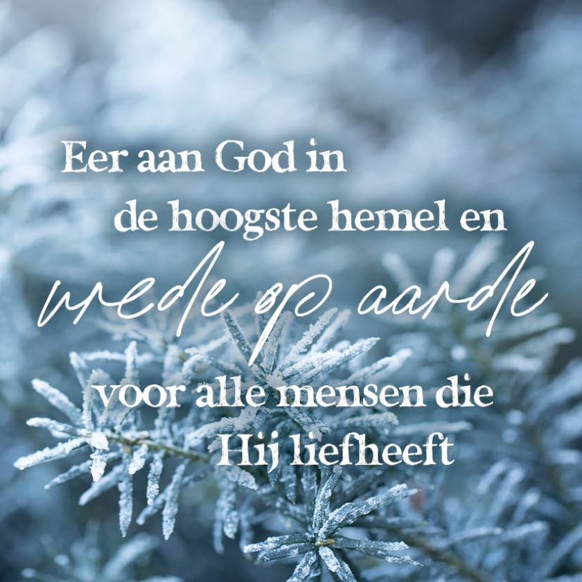 Eer aan God in de hoogste hemel en vrede op aarde voor alle mensen die Hij liefheeft