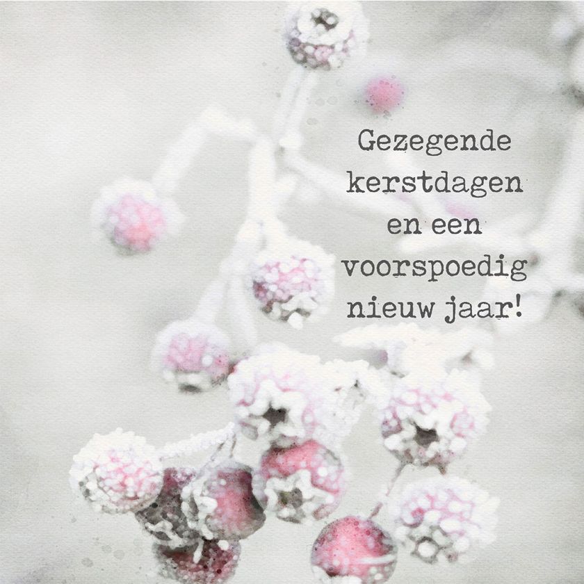 MA41209 - Minikerstkaart 'Besneeuwde besjes'