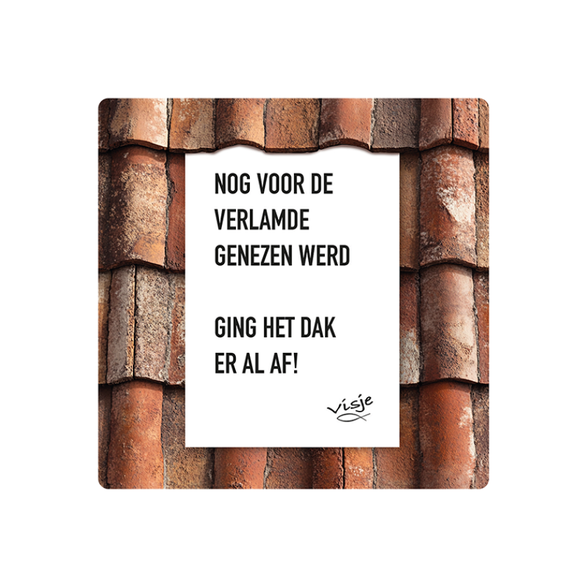 V16003 Visje Cadeaubordjes 15x15 Verlamde dak 0995423c