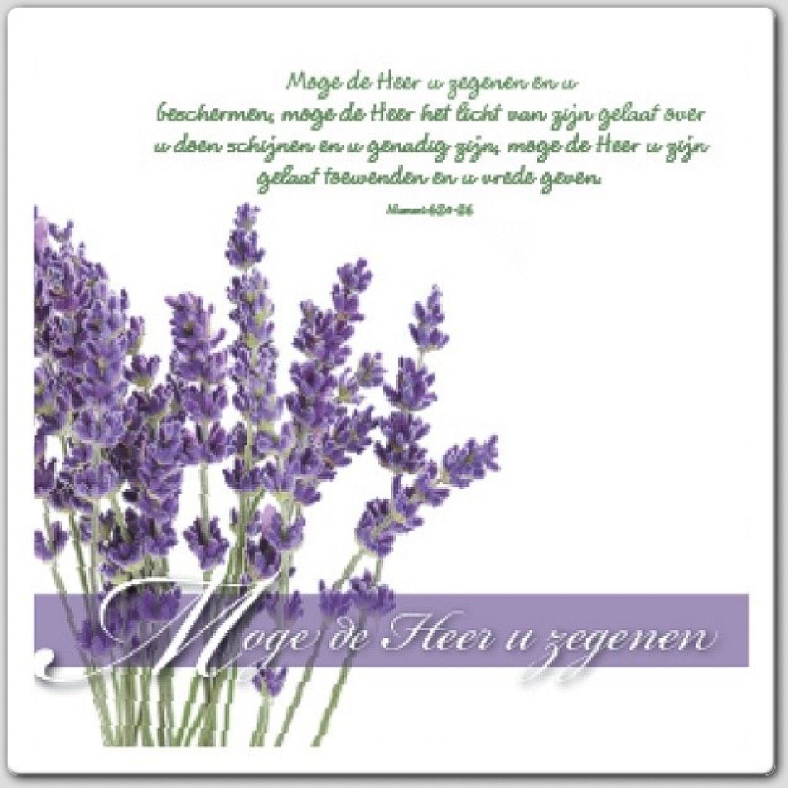 Voordeelpakket 25 Square Prentbriefkaarten - MA46251 -  Voordeelpakjes bij MajesticAlly