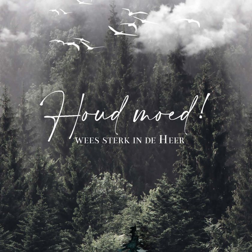 MA55047 - Wenskaart 'Houd moed'