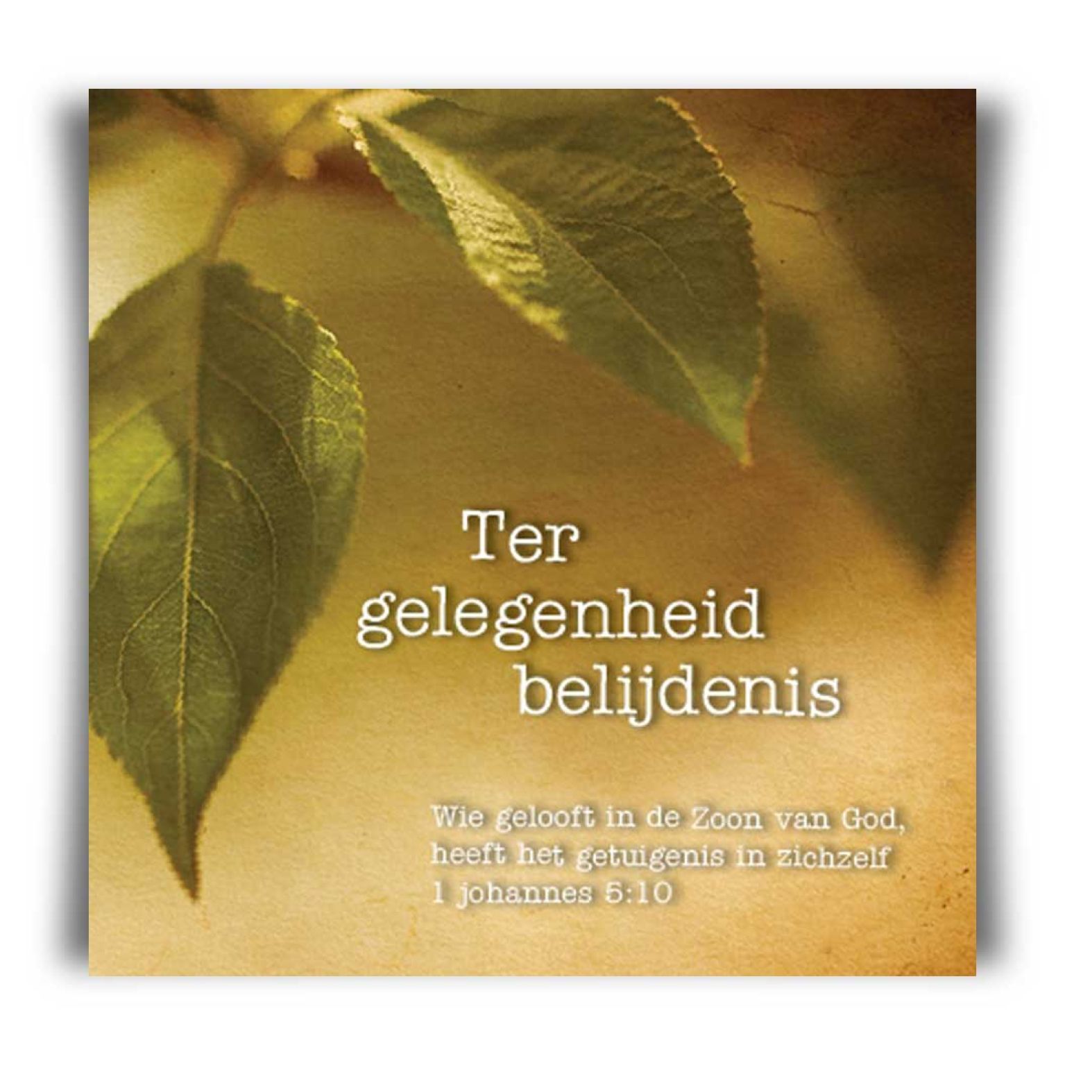 kaart 'Belijdenis - blad' - MA12037 -  Lifestyle bij MajesticAlly