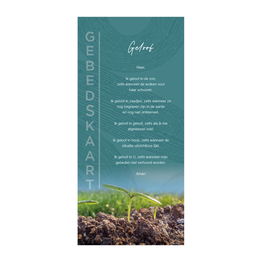 MA24051 Geloof VZ 12068f4e