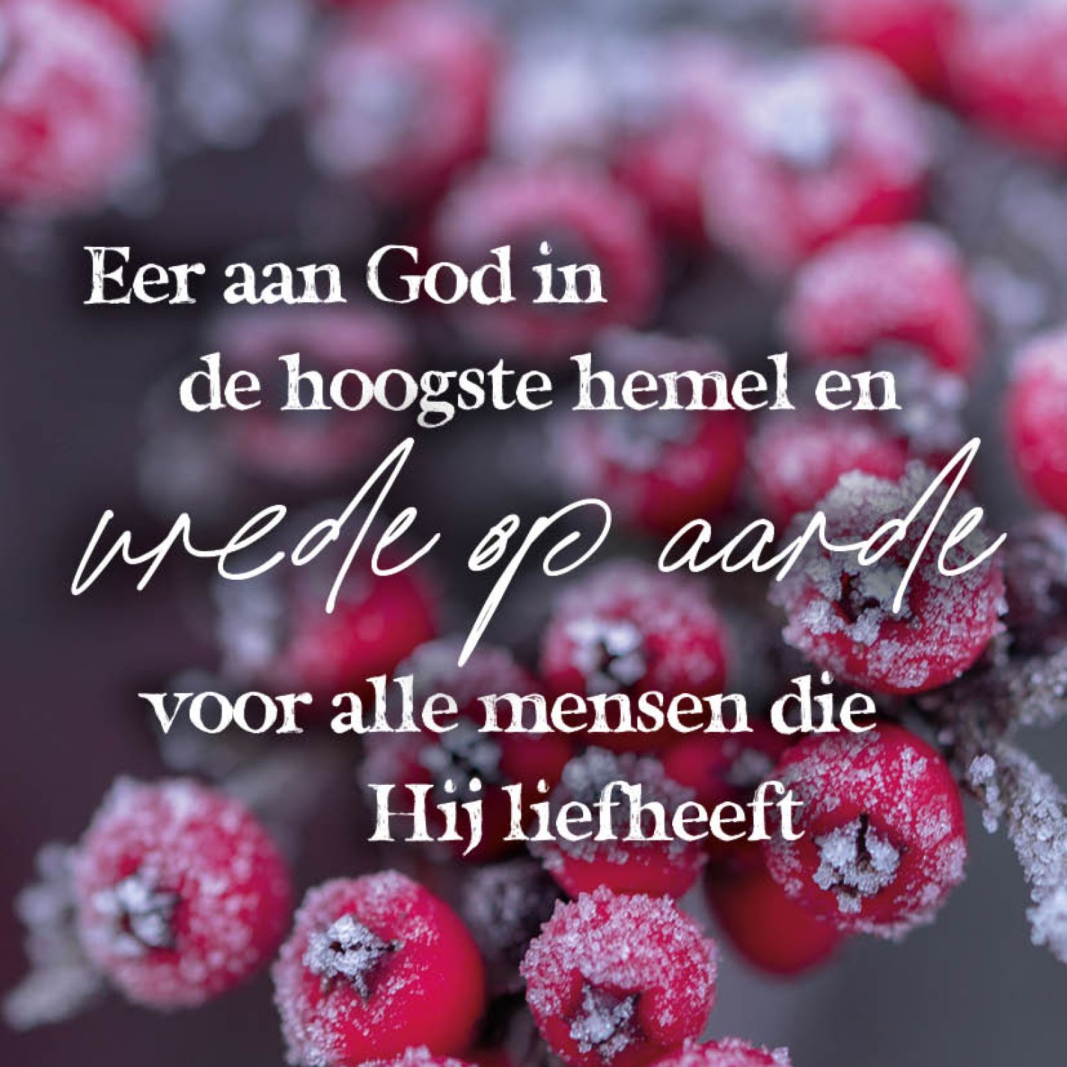 Eer aan God in de hoogste hemel en vrede op aarde voor alle mensen die Hij liefheeft