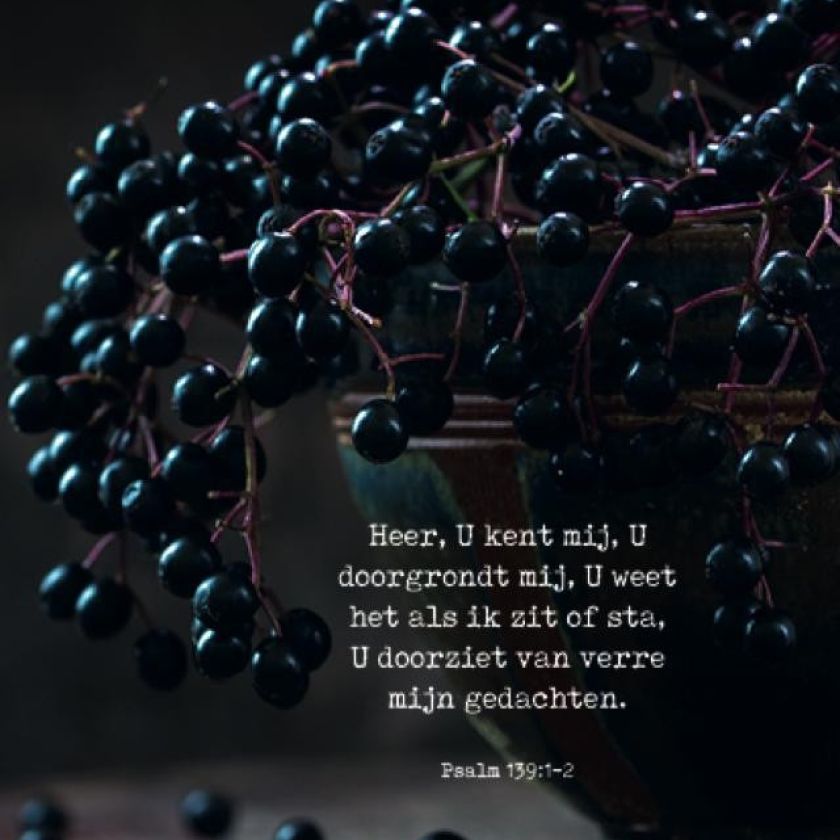 Poster A4 'Heer, U kent mij' - MA37123 -  Posters A4 bij MajesticAlly