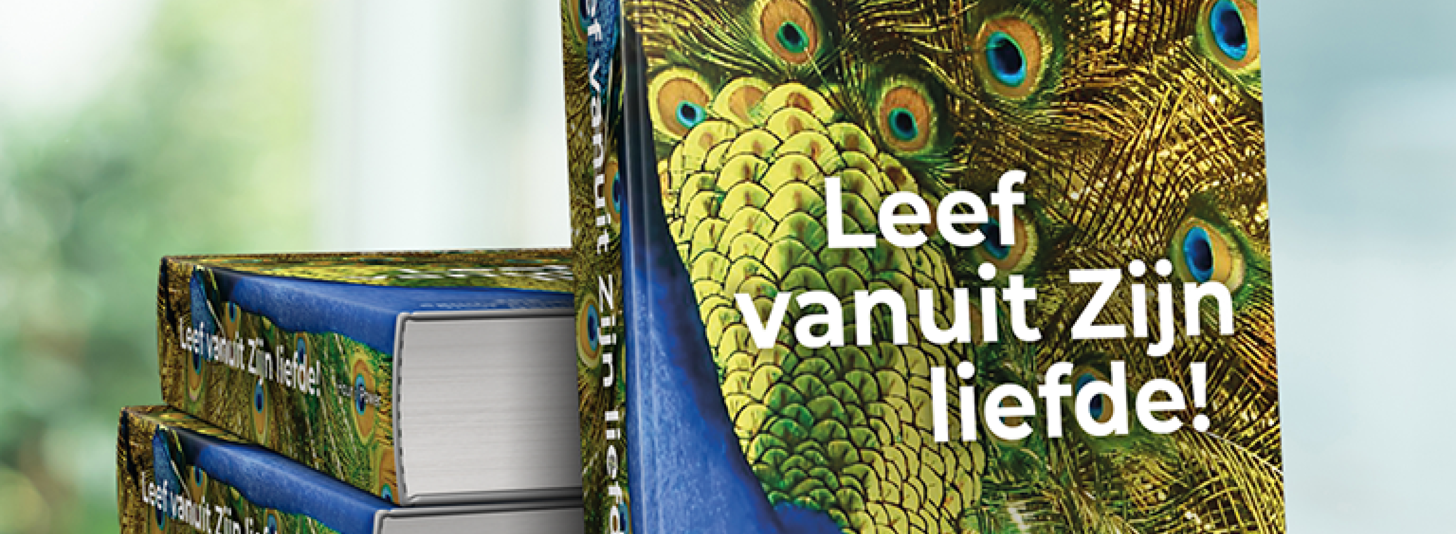 200007792 1 1966ece7