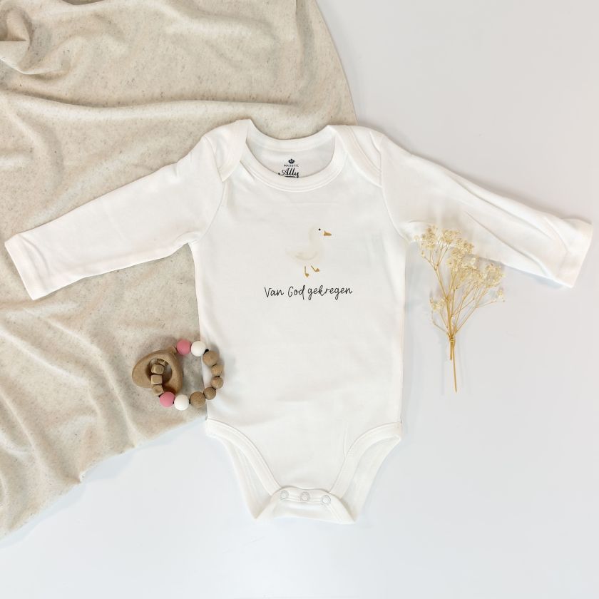 MA58207 Van God gekregen eend