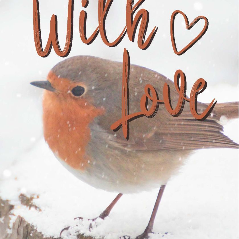 MA41506 - Minikaartje Kerst 'With love'