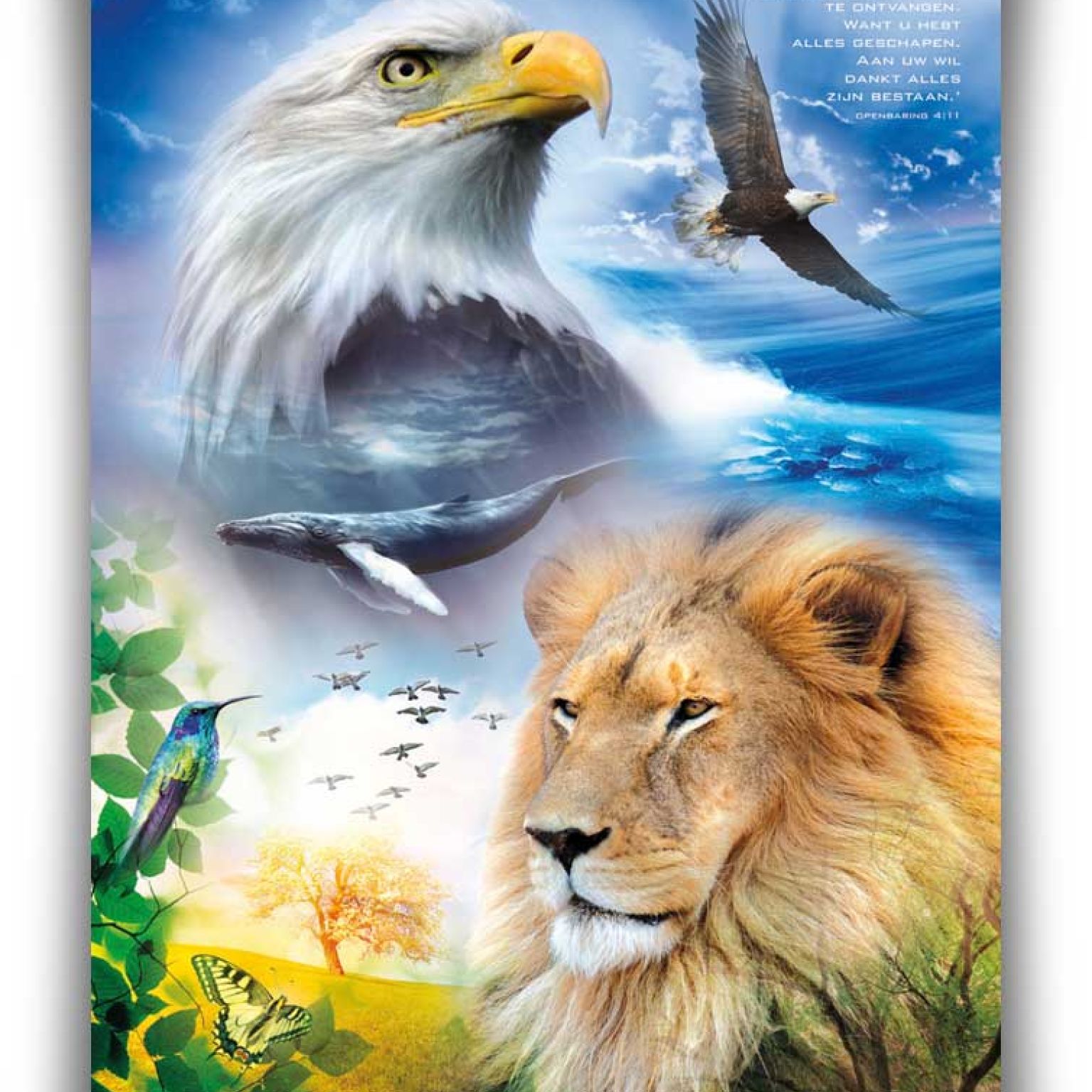 Poster 50x70 Glorious Creator (engels) - MA11307 -  Posters XL  bij MajesticAlly