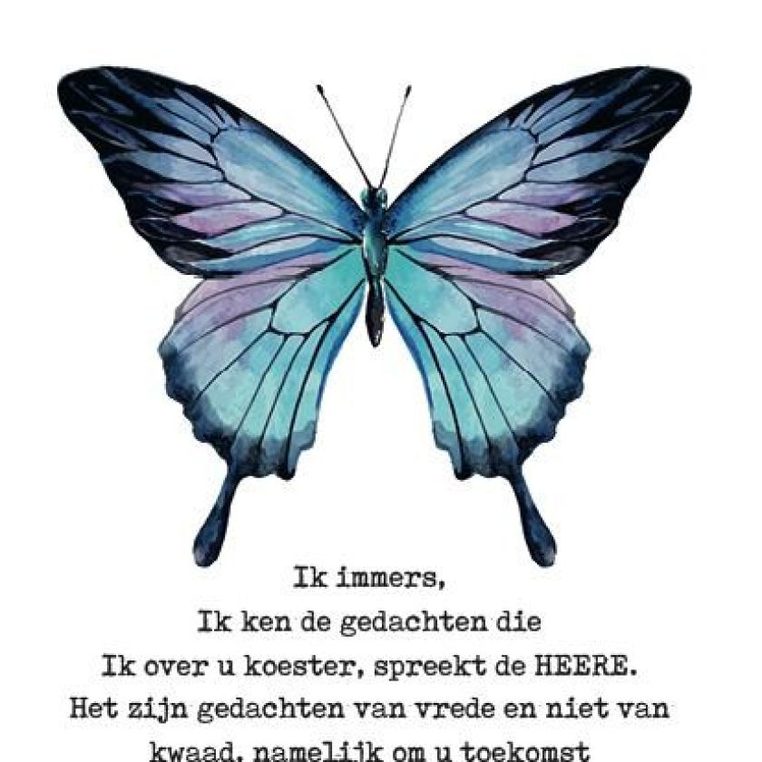 Voordeelkaart 'Ik bid voor je - Jeremia 29:11' - MA38027 -  Voordeelkaarten christelijk bij MajesticAlly