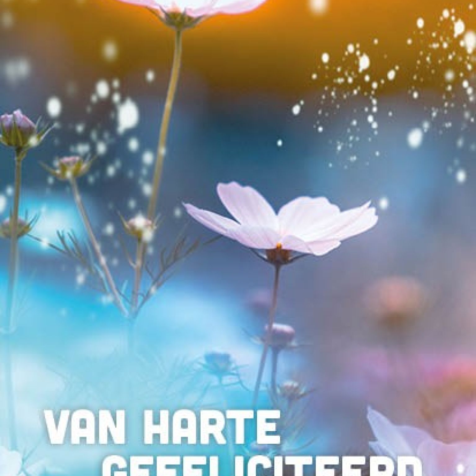 Voordeelkaart 'Van harte gefeliciteerd - bloemen' - MA38094 -  Voordeelkaarten christelijk bij MajesticAlly
