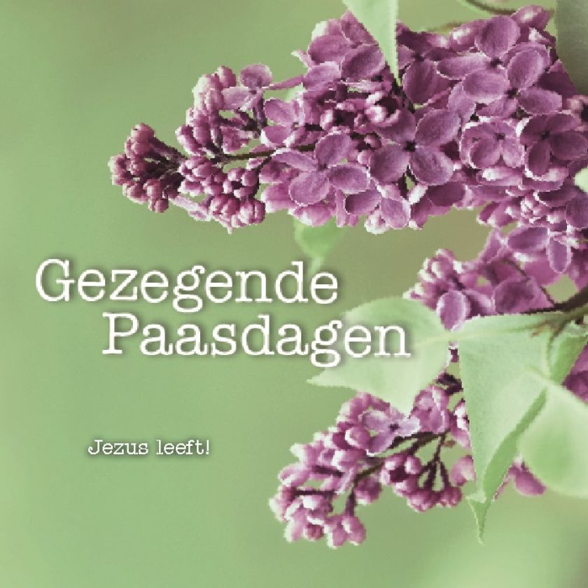 Kaart gezegende Paasdagen Jezus leeft! - MA12316 -  Pasen bij MajesticAlly