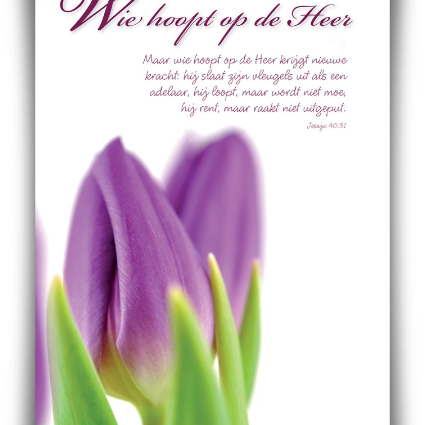 Poster A4 'Wie hoopt op de Heer' - 46819 -  Wanddeco/posters bij MajesticAlly