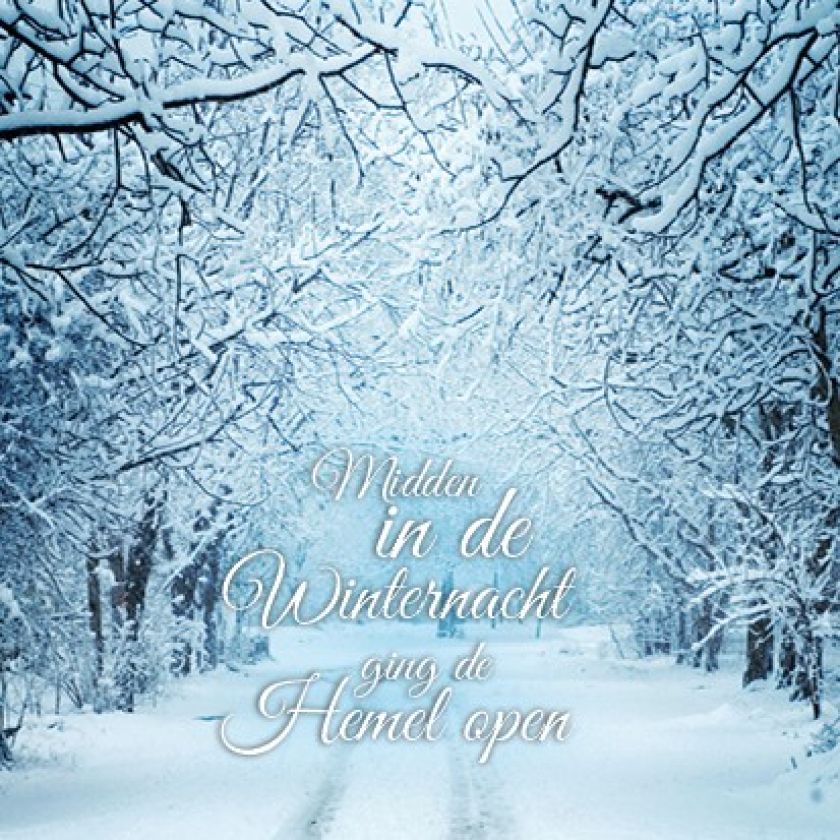 Voordeelpakje kerstkaarten 'Winter' - 6 stuks - MA26058 -  Voordeelpakjes kerst bij MajesticAlly