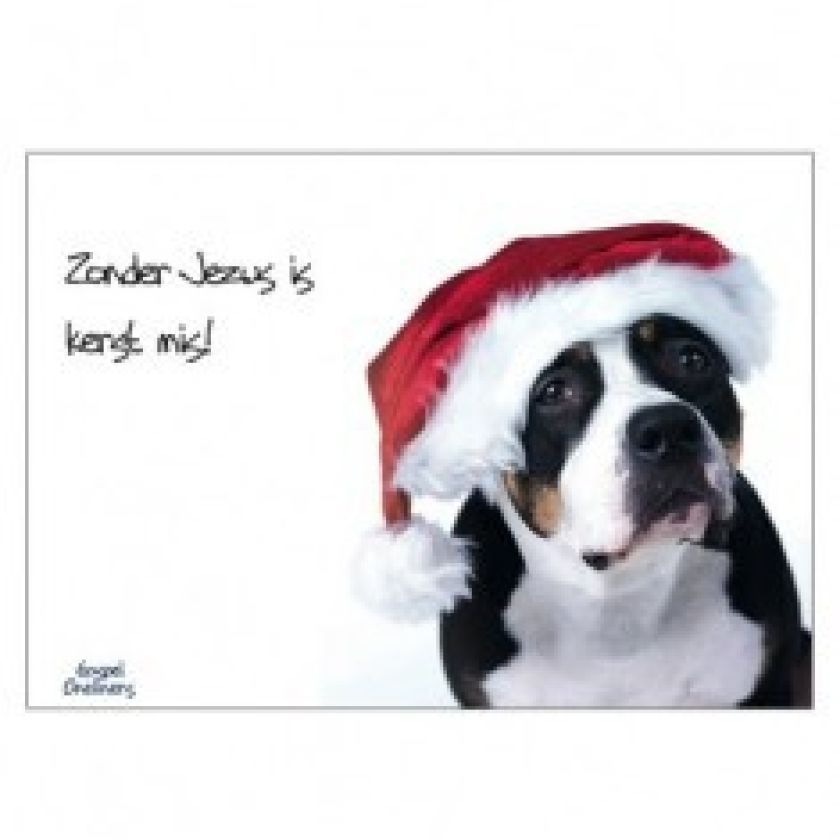 Voordeelpakje 1 'Gospeloneliner kerstkaarten' - 16 stuks - MA46350 -  Voordeelpakjes kerst bij MajesticAlly