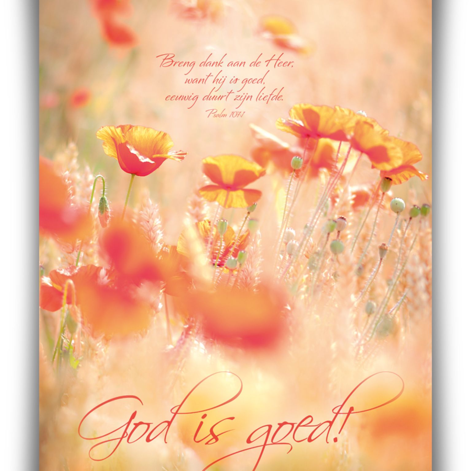 Poster A3 'God is goed' - MA11363 -  Posters A3 bij MajesticAlly
