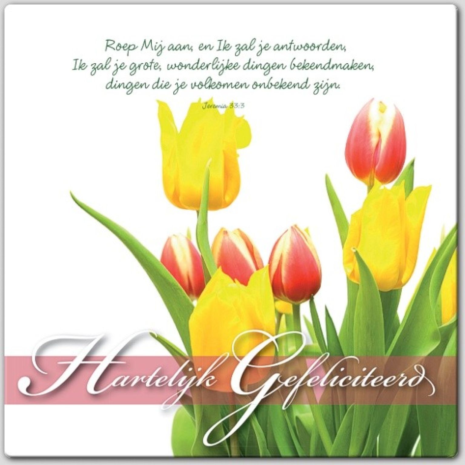 Wenskaart hartelijk gefeliciteerd - 46178 -  Gefeliciteerd bij MajesticAlly