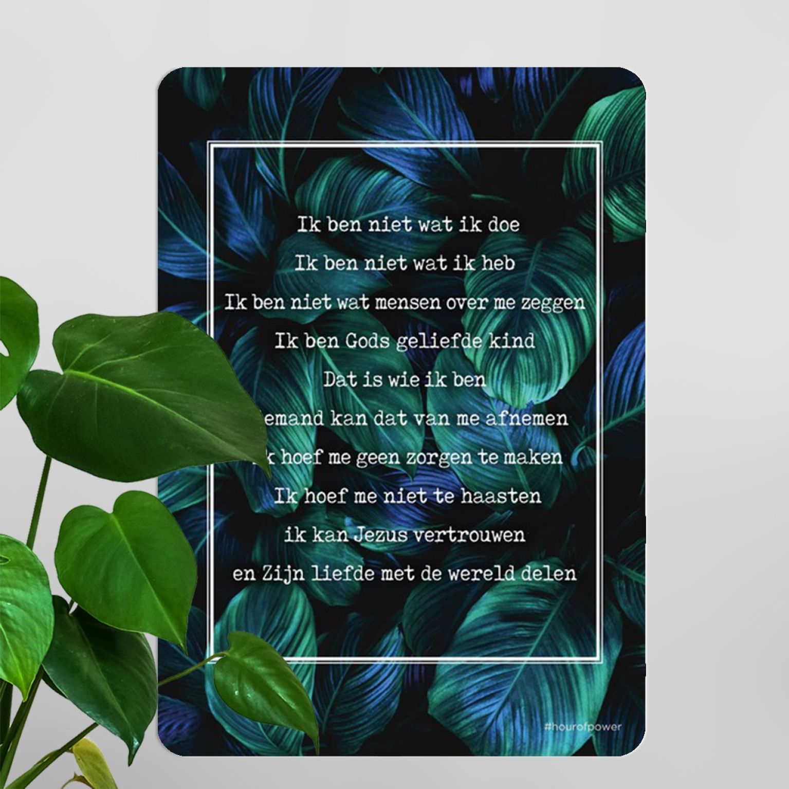 Interieurbord 'Credo - bladeren' - MA26128 -  Interieurborden bij MajesticAlly