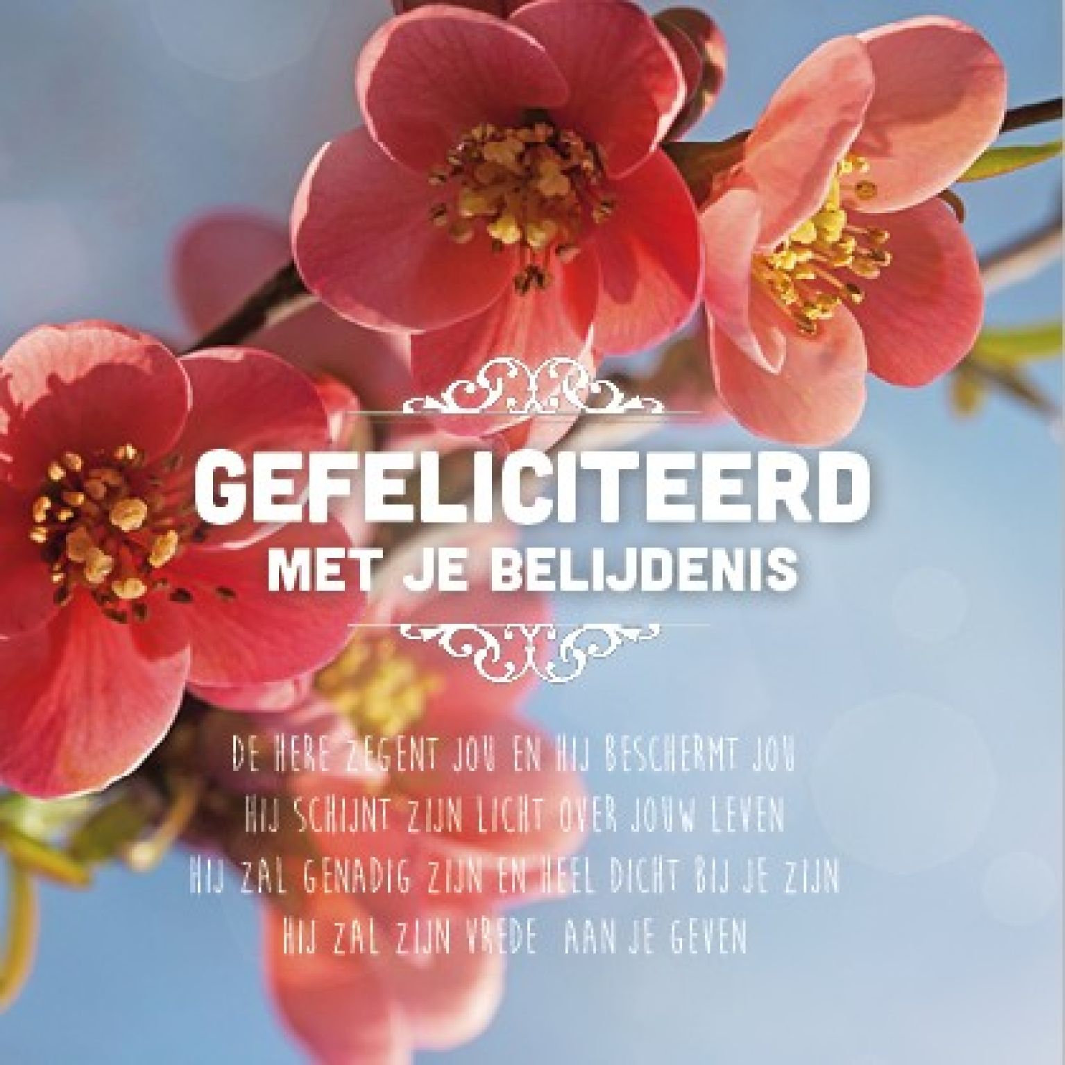 Kaart gefeliciteerd mj belijdenis bloese - MA15030 -  Belijdenis bij MajesticAlly