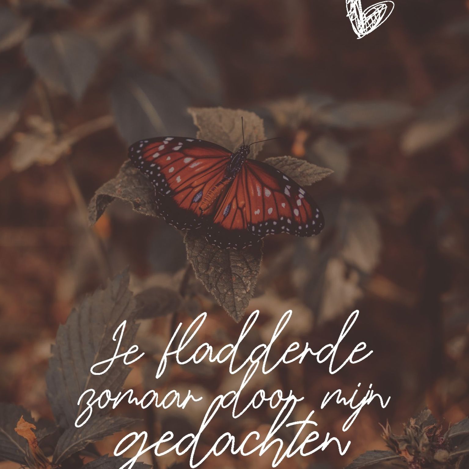 Wenskaart 'Zomaar - vlinder' - MA44013 -  LUV2022 bij MajesticAlly