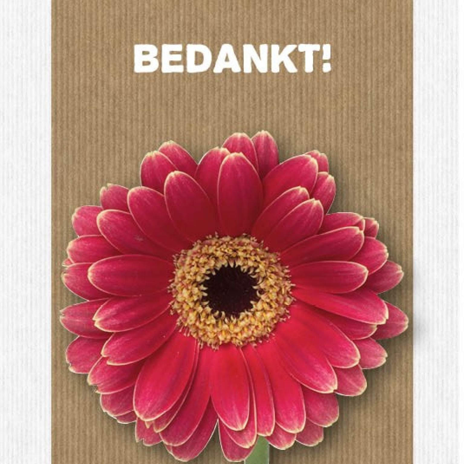 Kaart 'Bedankt' - MA17062 -  Leef!  bij MajesticAlly