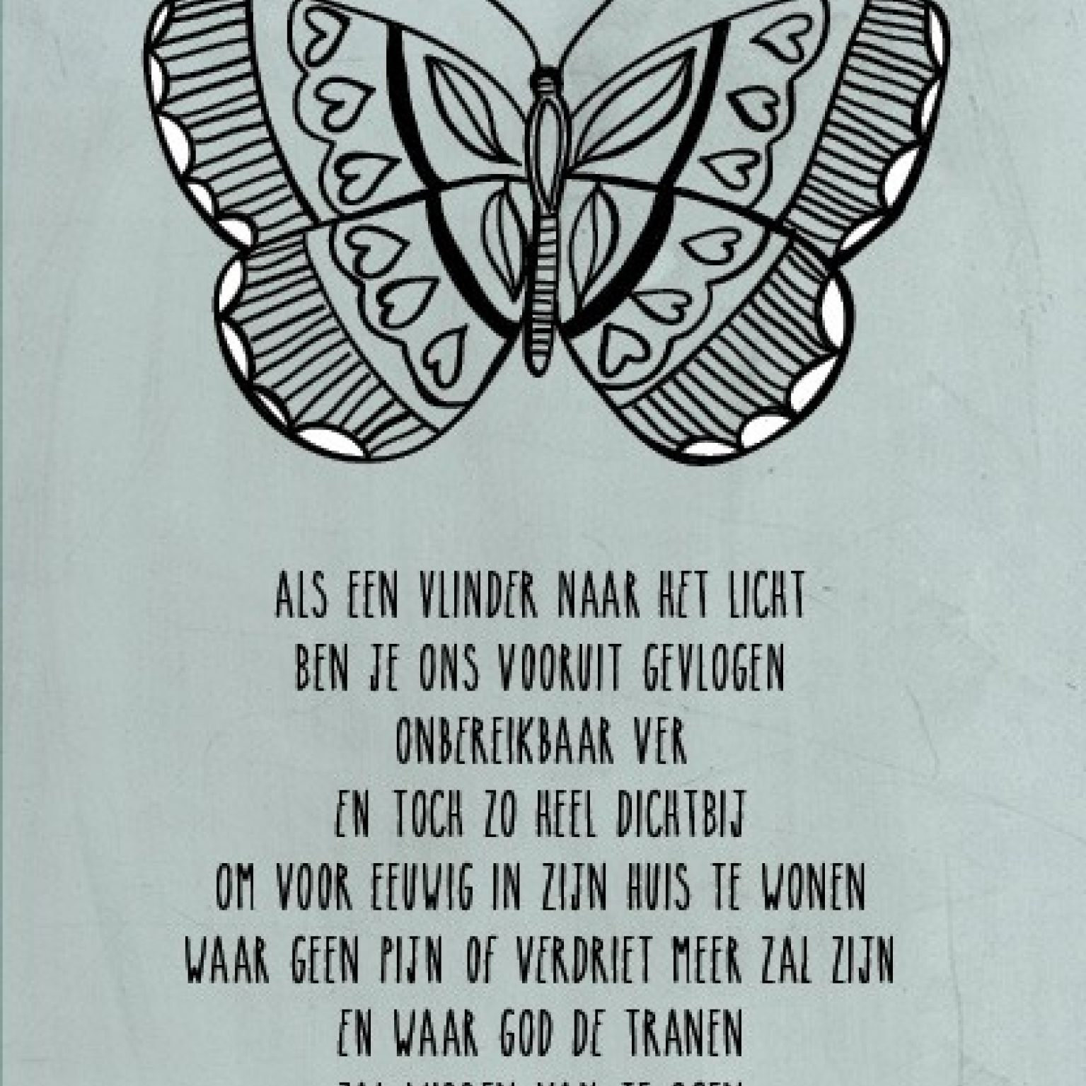 Meeleven (vlinder) - 552799 -  Sterkte & Deelneming bij MajesticAlly