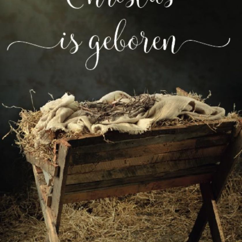 Kerstkaart 'Christus is geboren - kribbe' - MA26206 -  Christelijke kerstkaarten bij MajesticAlly