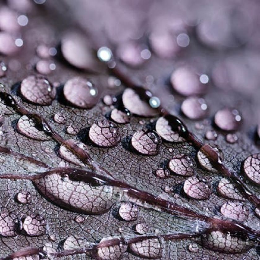 Kaart 'Blanco - druppels' - MA34012 -  Stille momenten bij MajesticAlly