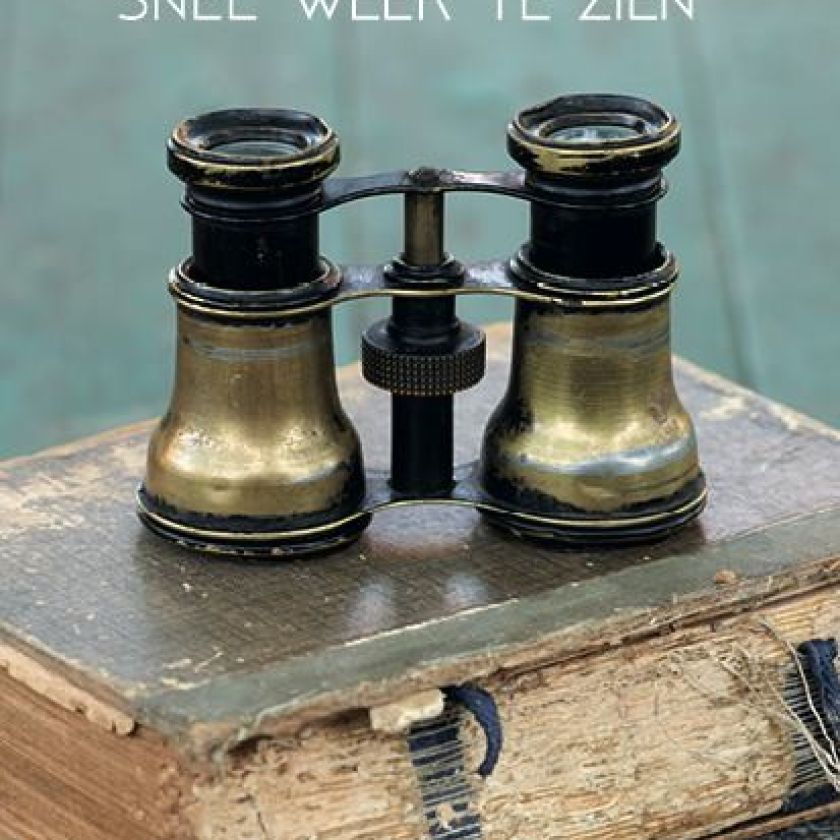 Kaartenpakket - 100 stuks 'Ik hoop je snel weer te zien' - MA38018-100x -  Kaarten bij MajesticAlly