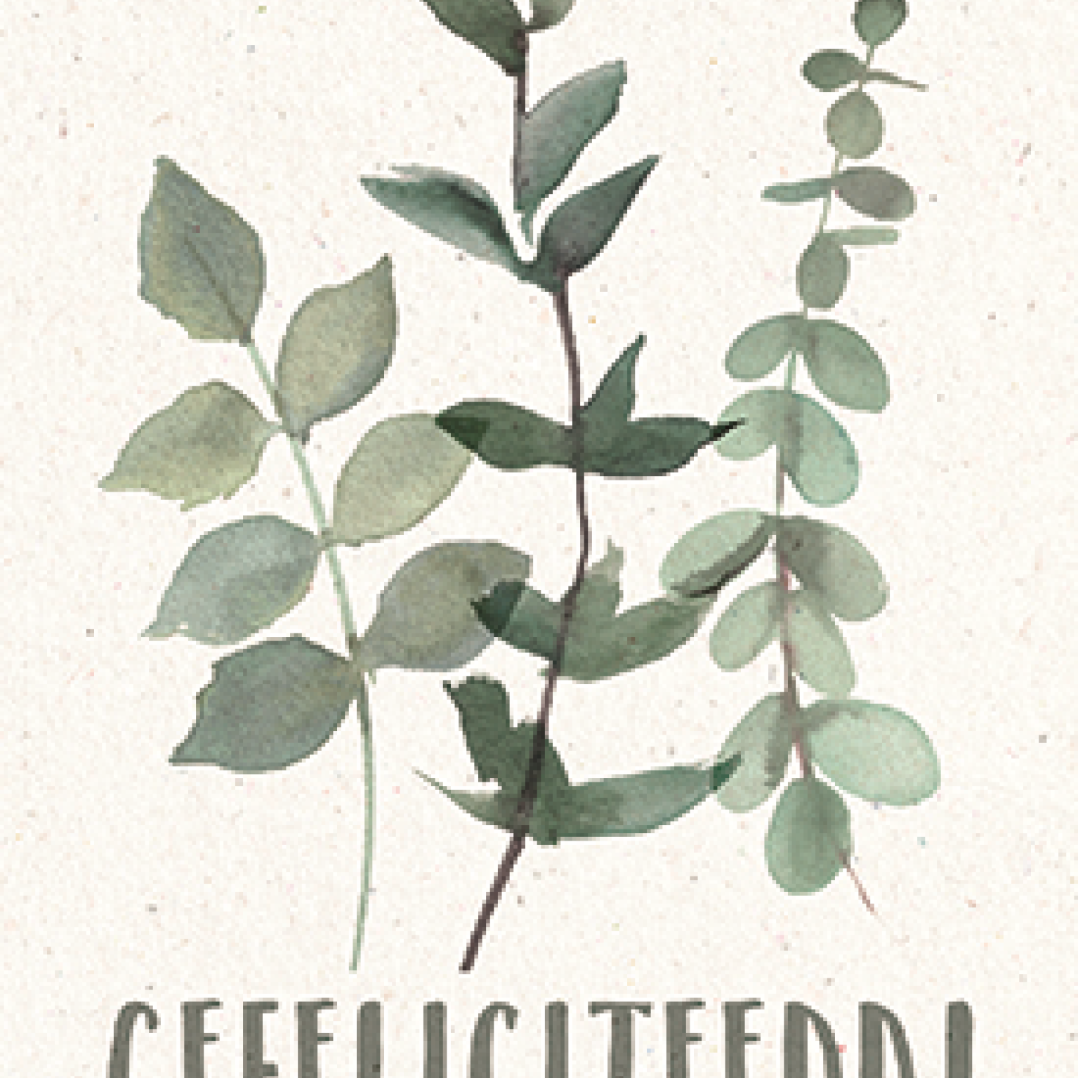 Gefeliciteerd! - 552857 -  Gefeliciteerd bij MajesticAlly