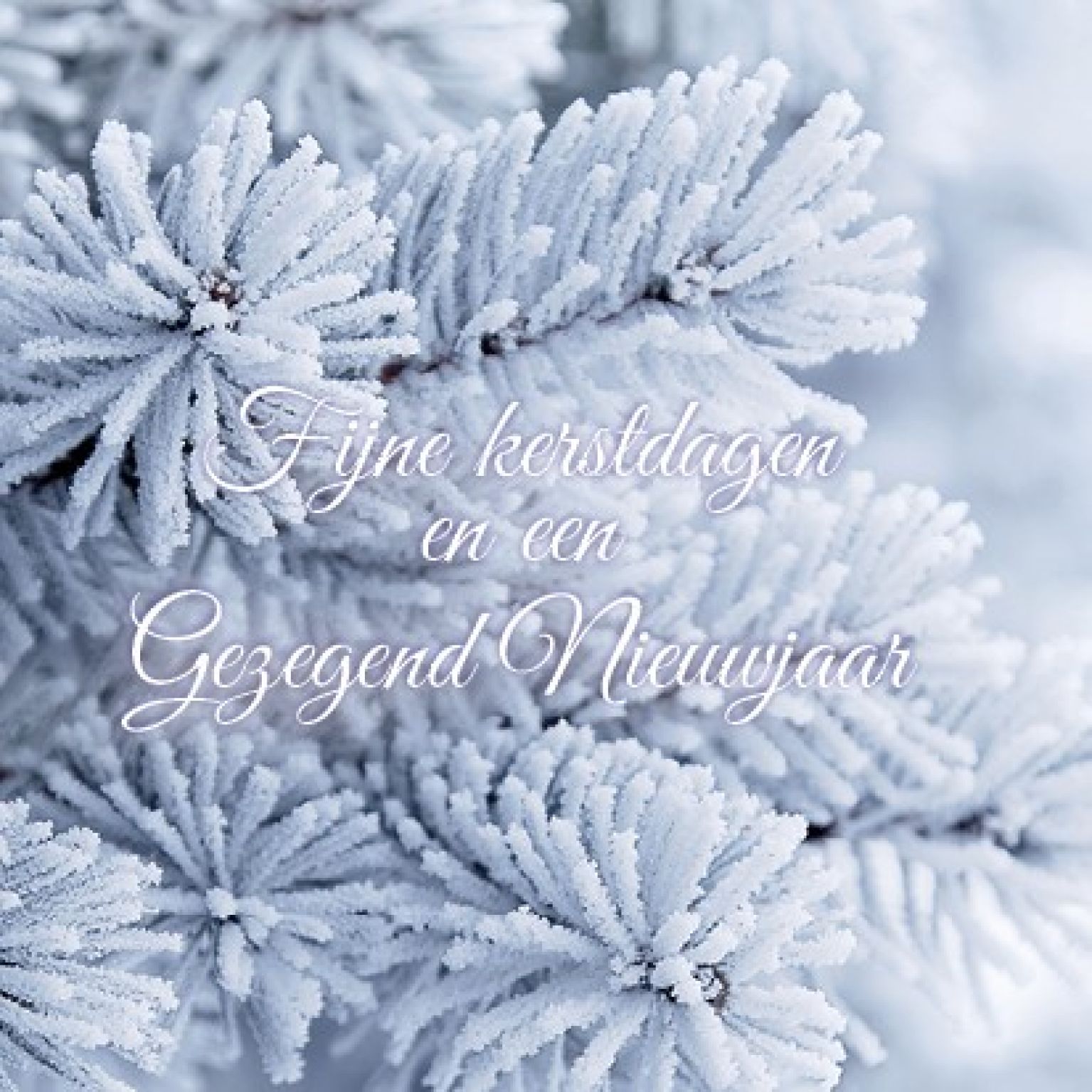 Voordeelpakje kerstkaarten 'Frozen 1' - 6 stuks - MA26057 -  Voordeelpakjes kerst bij MajesticAlly