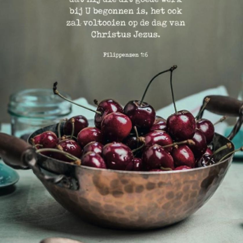 Poster A4 'Hij zal dit goede werk voltooien' - MA37124 -  Posters A4 bij MajesticAlly