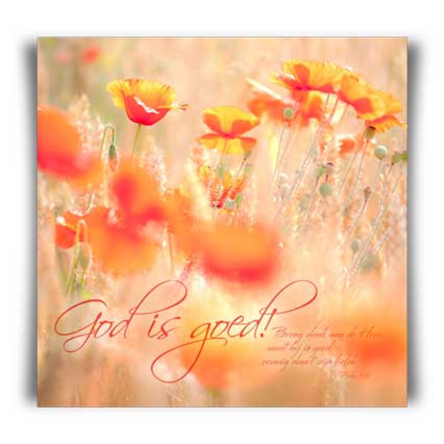 Kaart 'God is goed!' - MA11007 -  David Sörensen bij MajesticAlly