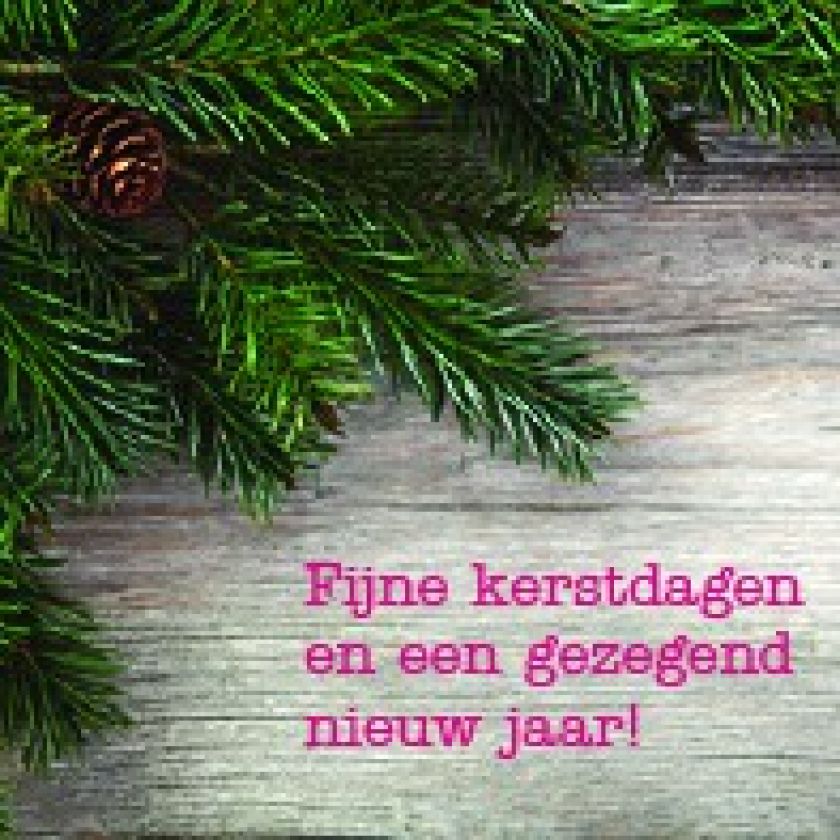 Groot pakket diverse kerstkaarten - 100 stuks - MA12096 -  Grote pakketten  bij MajesticAlly