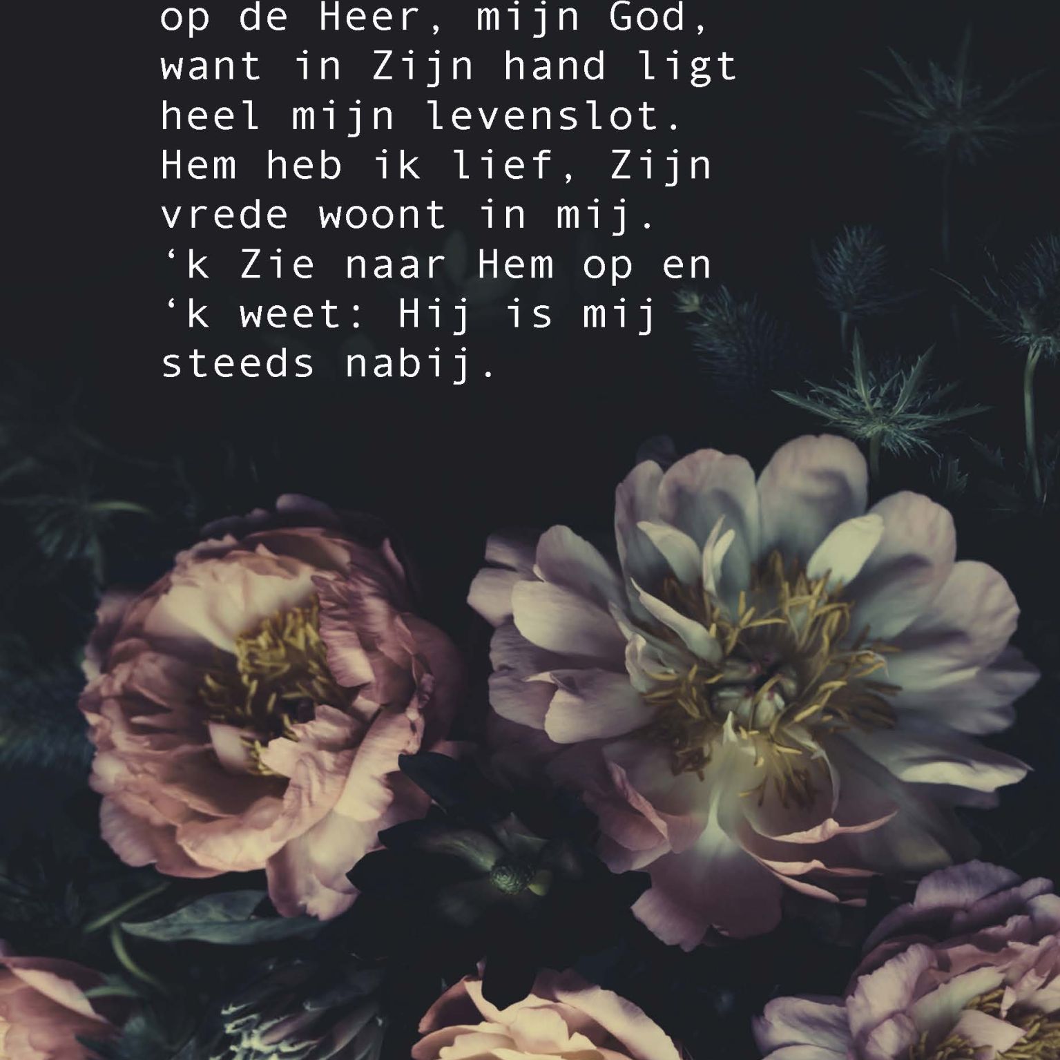 Poster A4  'k Stel mijn vertrouwen - Opwekking 658 - 552658P -  Posters bij MajesticAlly