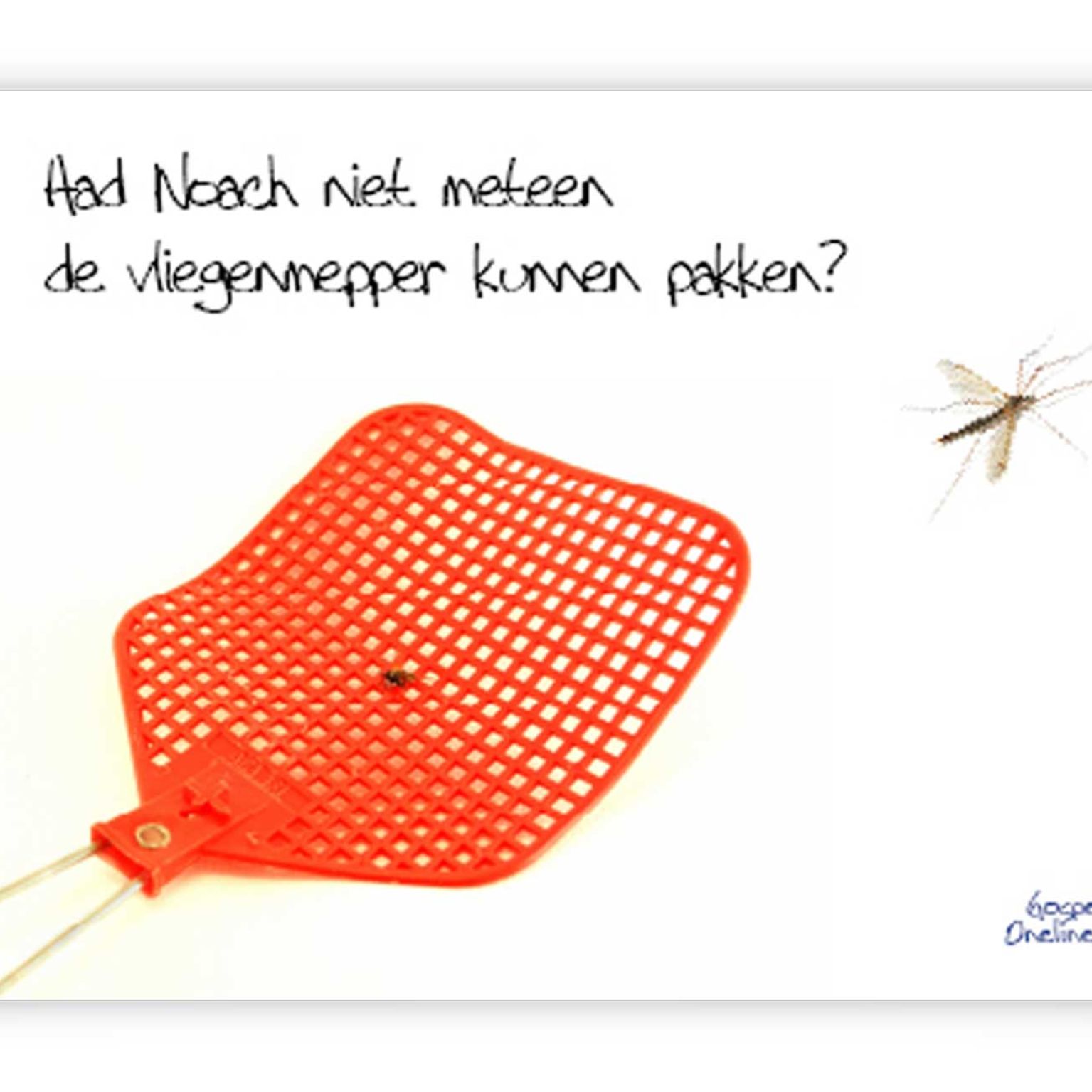 Poster A4 kon noach niet meteen de vliegenm - 46713 -  Wanddeco/posters bij MajesticAlly