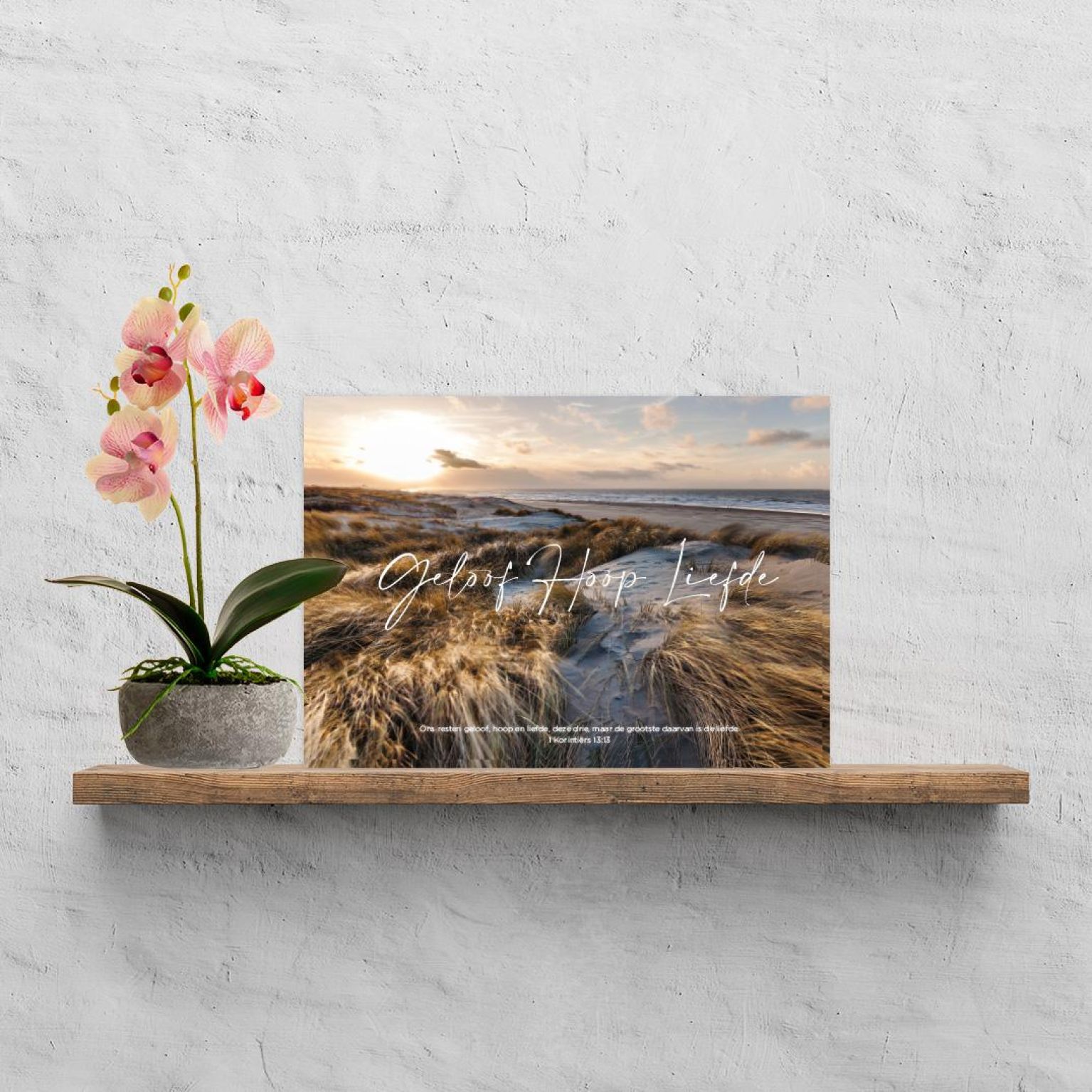 200006180 1 3facd1fd