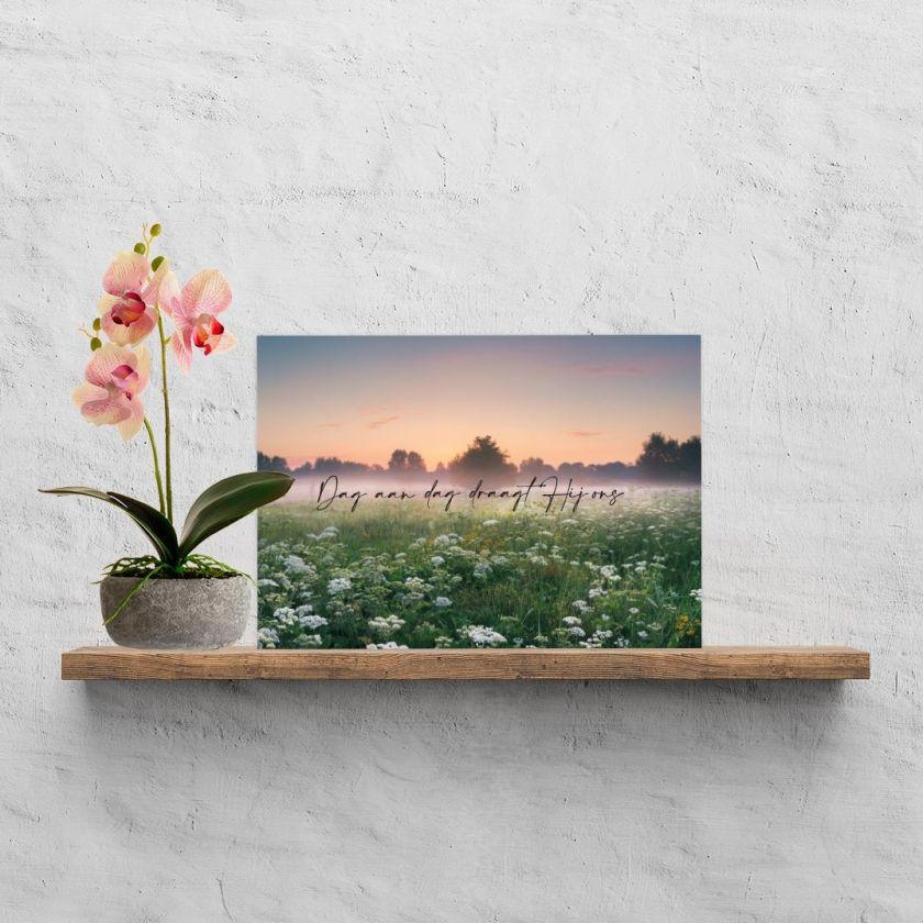 200006181 1 400a66f5