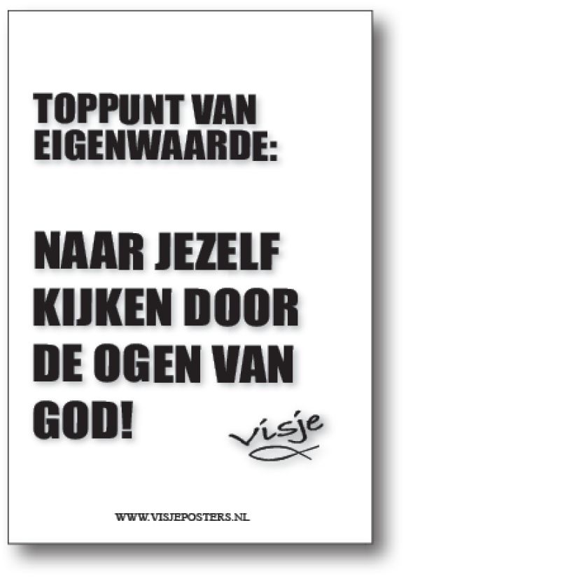 minikaart Visje 'Toppunt van eigenwaarde'