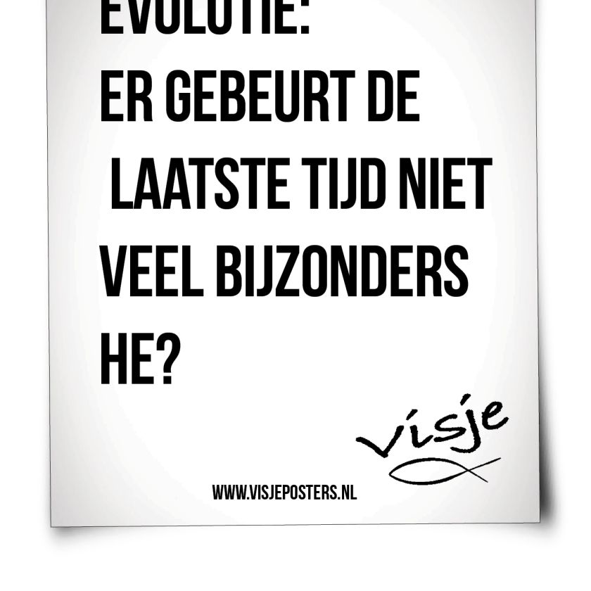 Scheurkalender 365 allerbeste visjes - 9789078893080 -  Kalenders & agenda's bij MajesticAlly