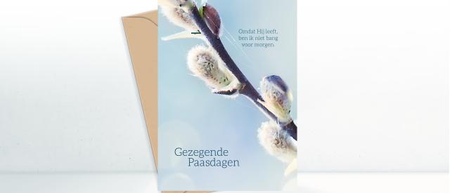 Sub feestdagen2 458a6036