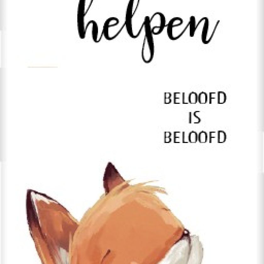 Boekenlegger vosje beloofd is beloofd - MA25205 -  Boekenleggers bij MajesticAlly