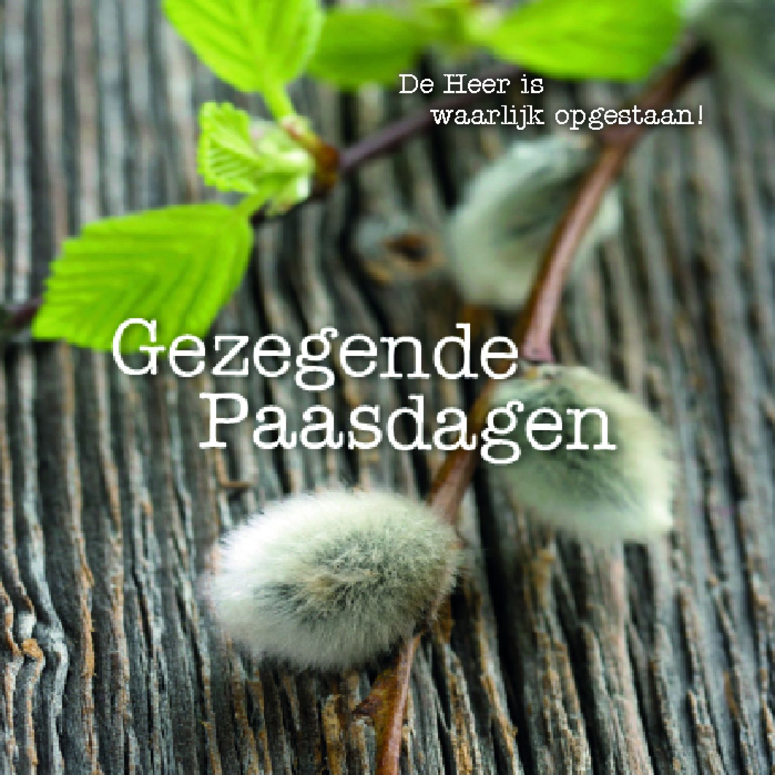 kaart ’Gezegende Paasdagen ‘ De Heer is waarlijk opgestaan' - MA12314 -  Pasen bij MajesticAlly